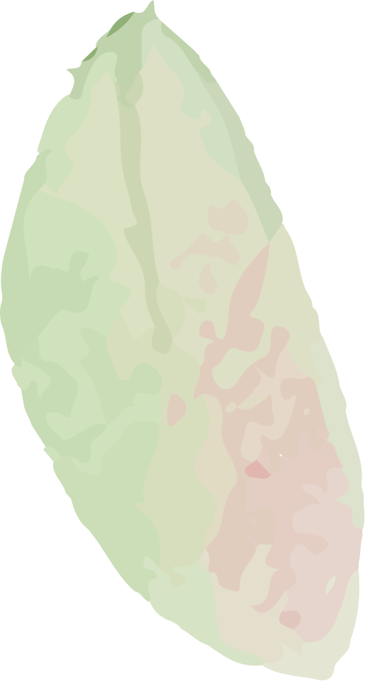 装飾の葉1