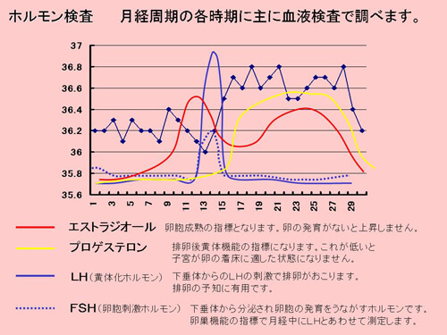 ホルモン検査図解