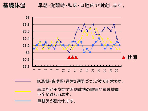 基礎体温図解