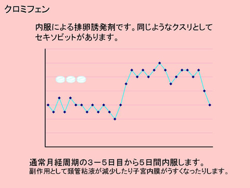 排卵誘発法図解1