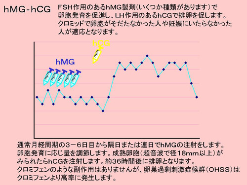 排卵誘発法図解2