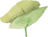 葉